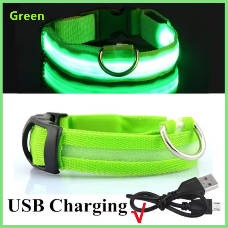 GlowGuard LED Dog Collar - USB Rechargeable Safety Light with 3 Modes