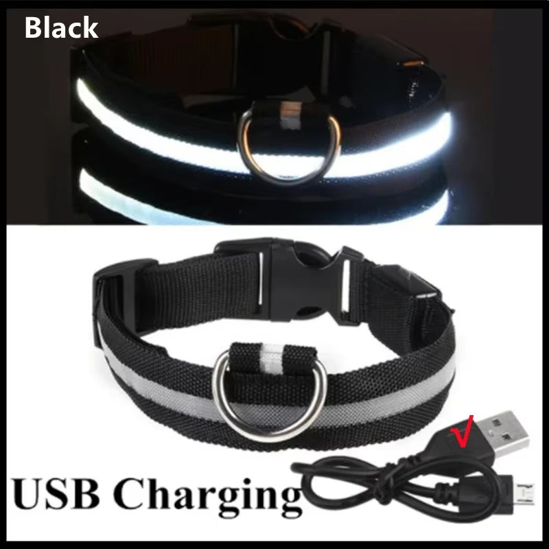 GlowGuard LED Dog Collar - USB Rechargeable Safety Light with 3 Modes